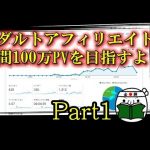 アダルトサイトで月間100万PVを目指すよvol.1【ささみりんの挑戦】