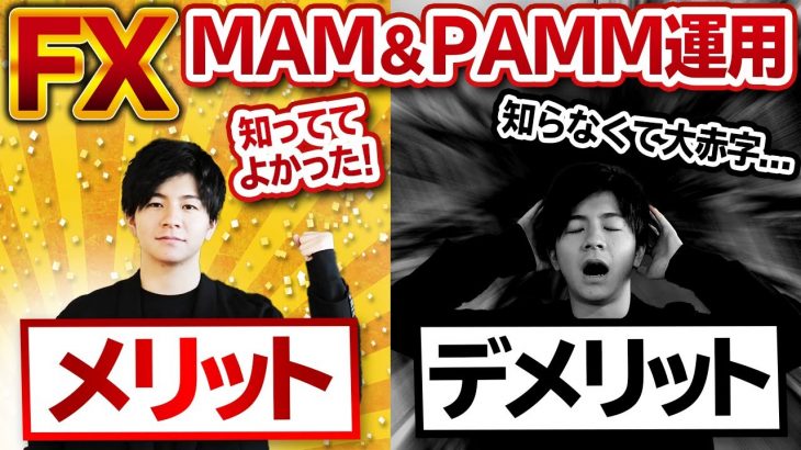 【FX自動売買】MAM運用のメリットデメリット！PAMとの違い