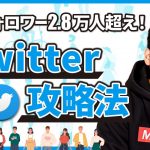 【ツイッターが伸びる！】初心者のための1日のTwitter運用方法