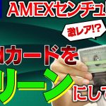 【真実公開】アメックスセンチュリオンカードの2ndカードをあえてグリーンにしてみた（アメリカンエキスプレスブラックカード）