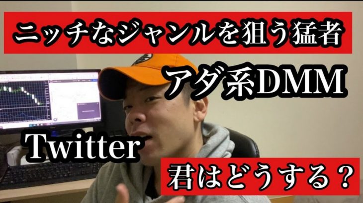 Twitterでアダ系。ニッチなジャンルで行く強者